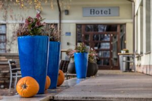 Hibiscus Étterem by Jankovich Hotel kiemelt kép
