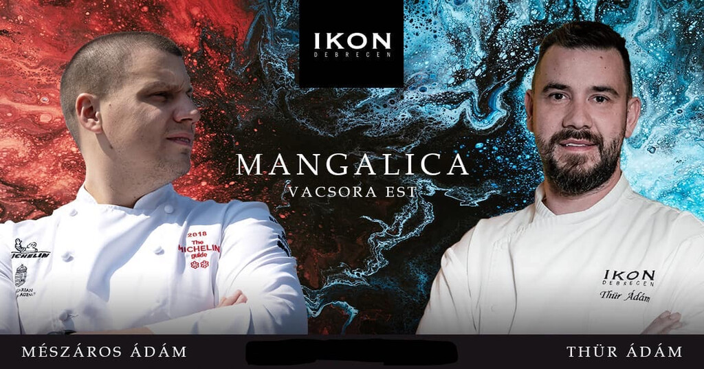 Read more about the article Mangalica fülétől a farkáig