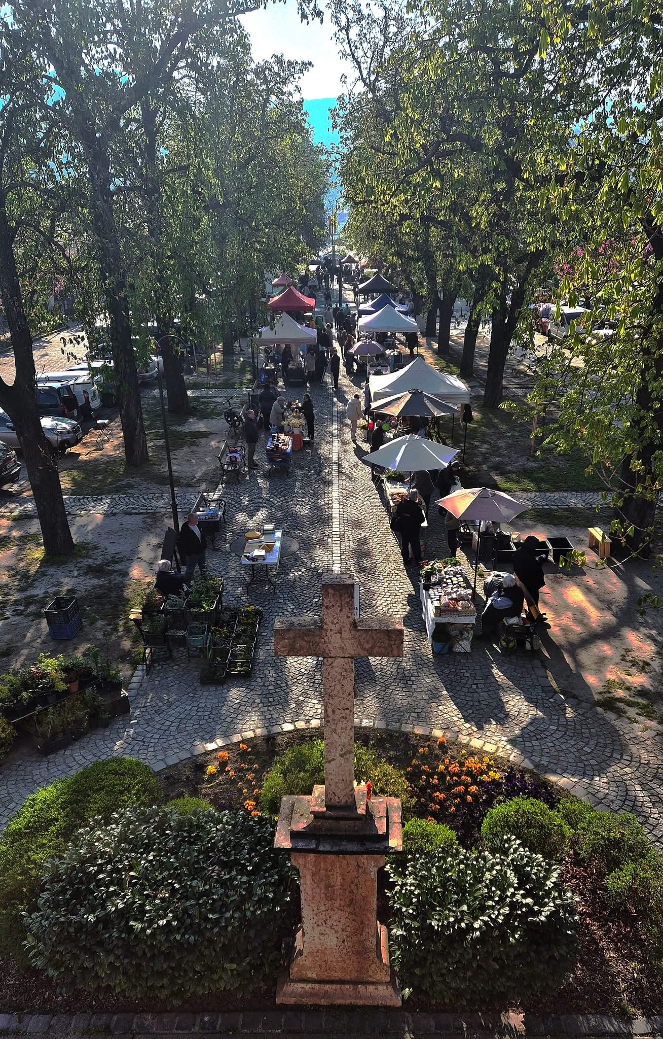 Nagymarosi termelői piac
